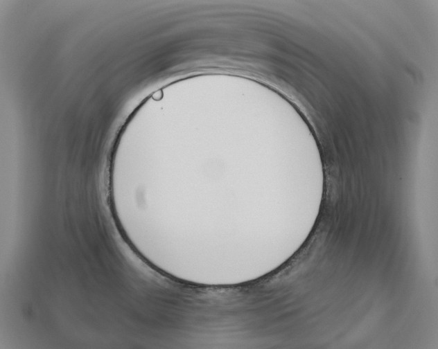 X0000113101531200909251021