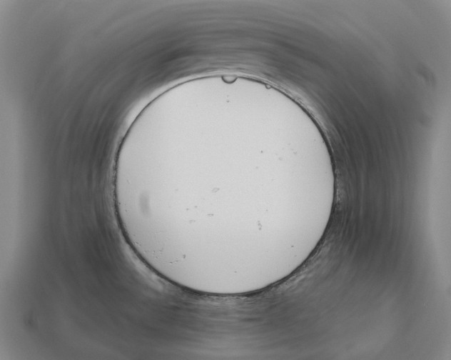 X0000113101532200909251021