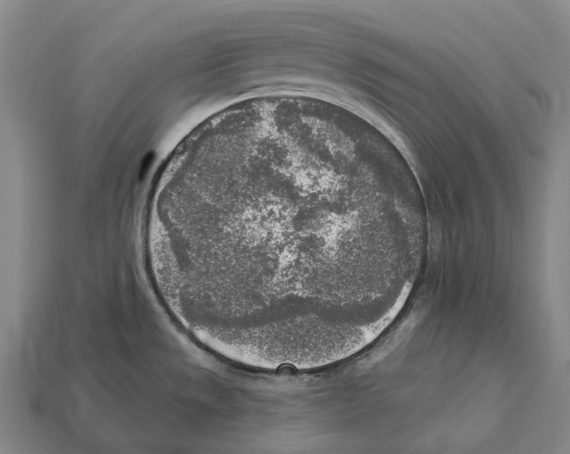 X0000113101533200909251021