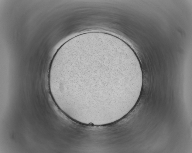 X0000113101534200909251021