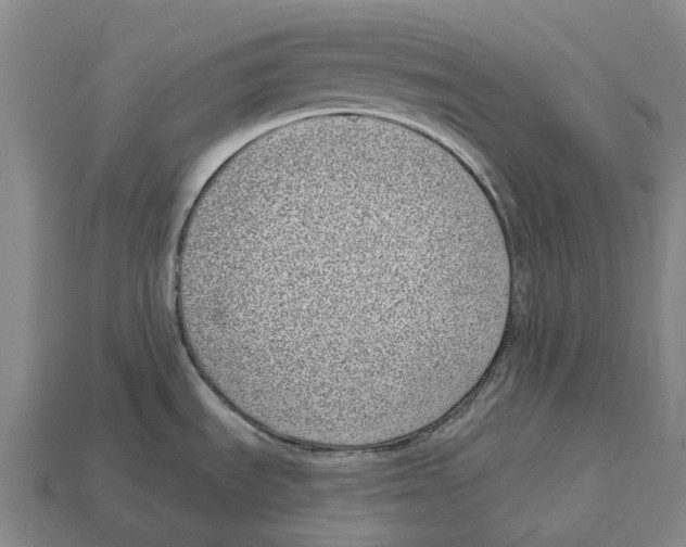 X0000113101535200909251021