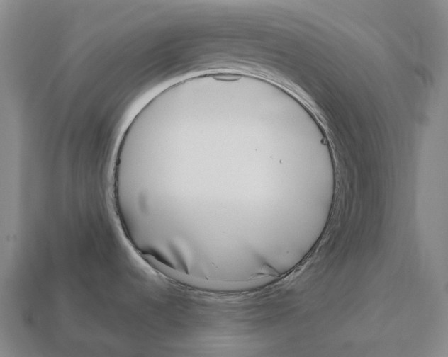 X0000113101536200909251021