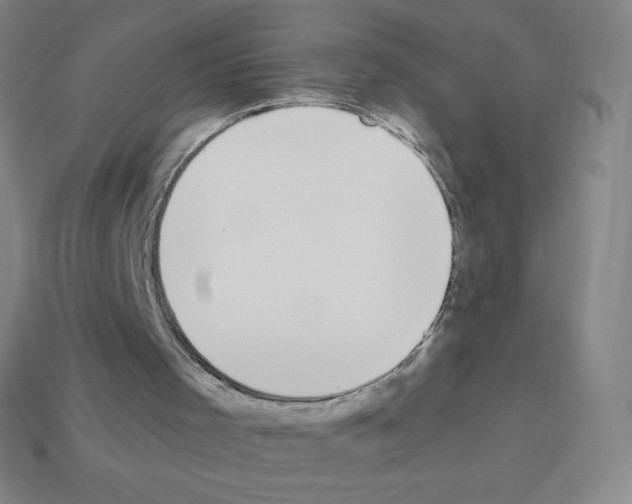 X0000113100001200910091149