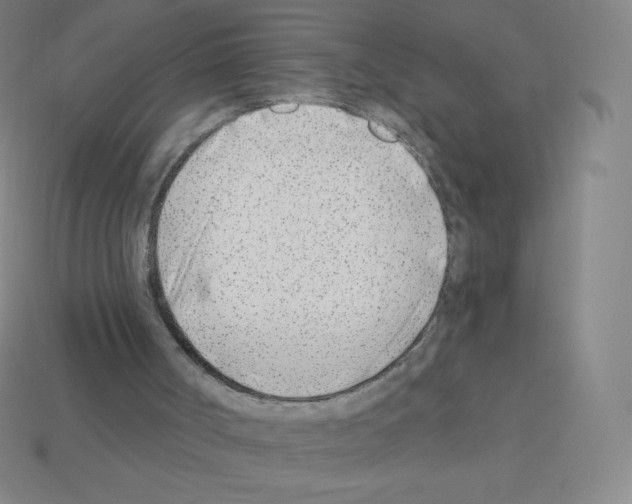 X0000113100002200910091149