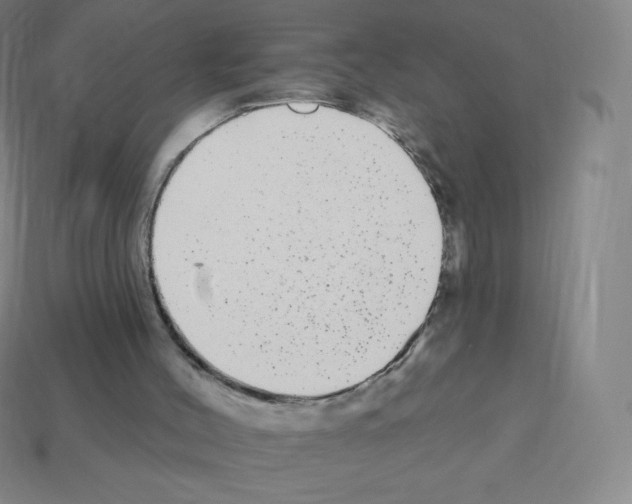 X0000113100004200910091149