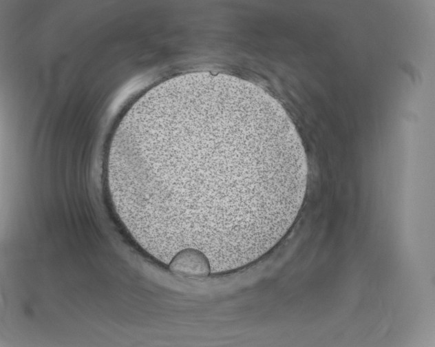 X0000113100006200910091148