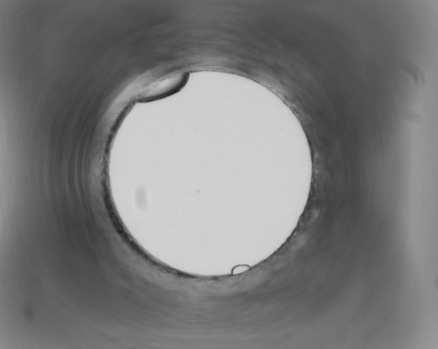 X0000113100007200910091148