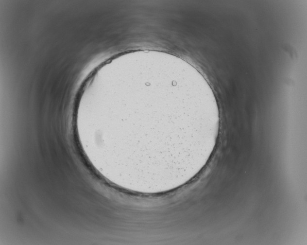 X0000113100008200910091148