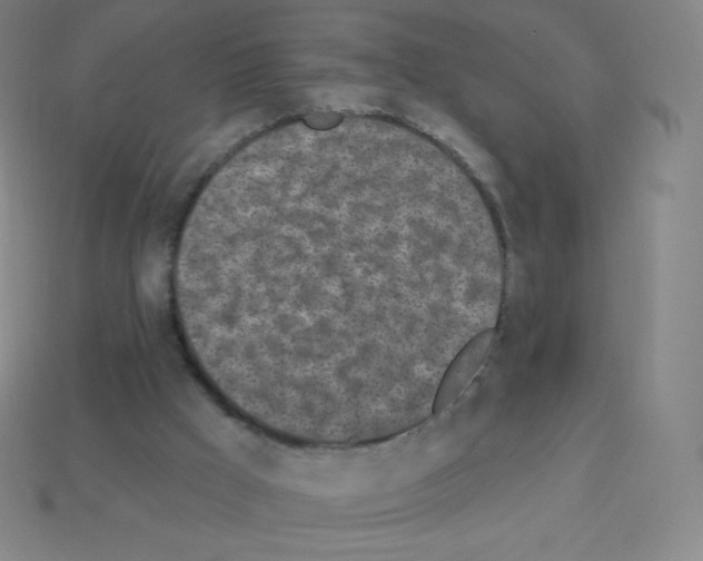 X0000113100009200910091148