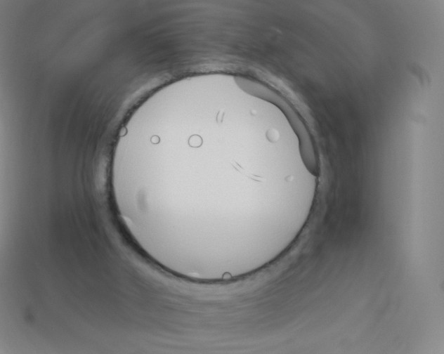 X0000113100010200910091148