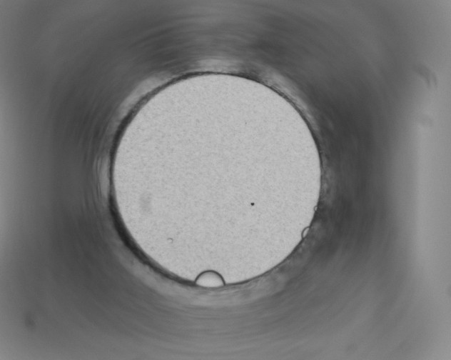X0000113100011200910091148
