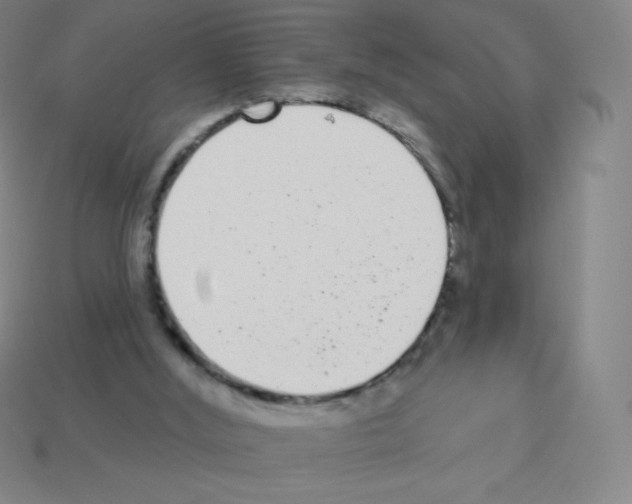 X0000113100012200910091148