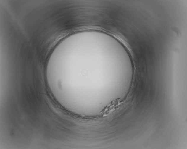 X0000113100013200910091148