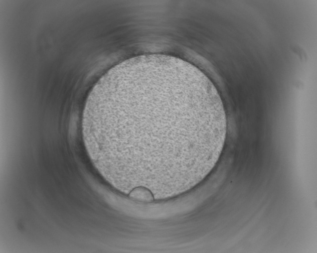 X0000113100018200910091148