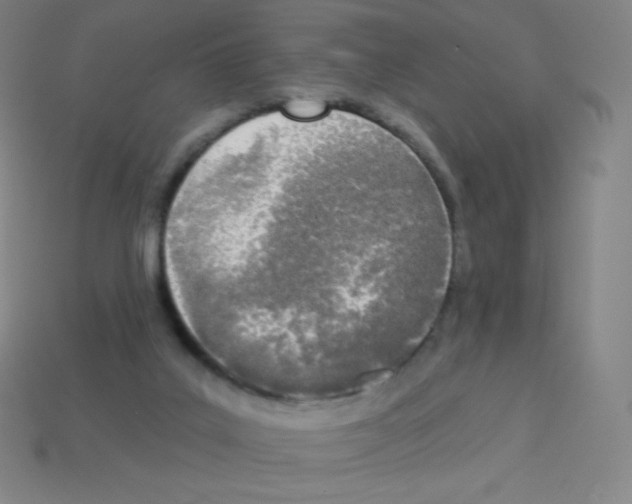 X0000113100019200910091148