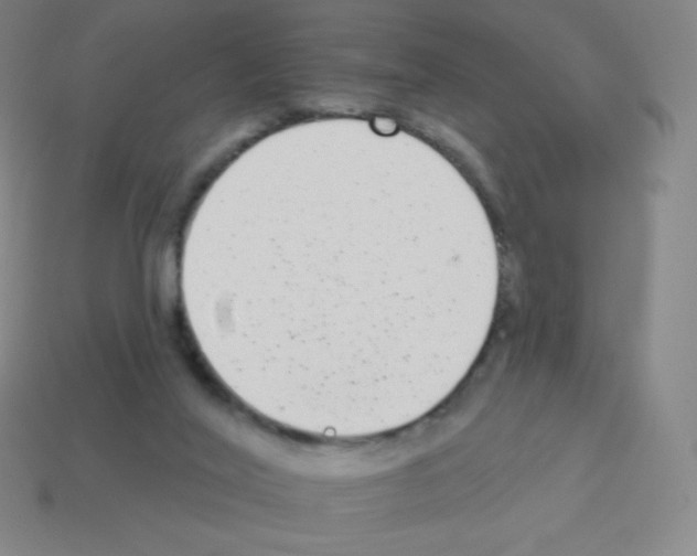 X0000113100020200910091148