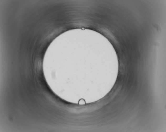 X0000113100021200910091148