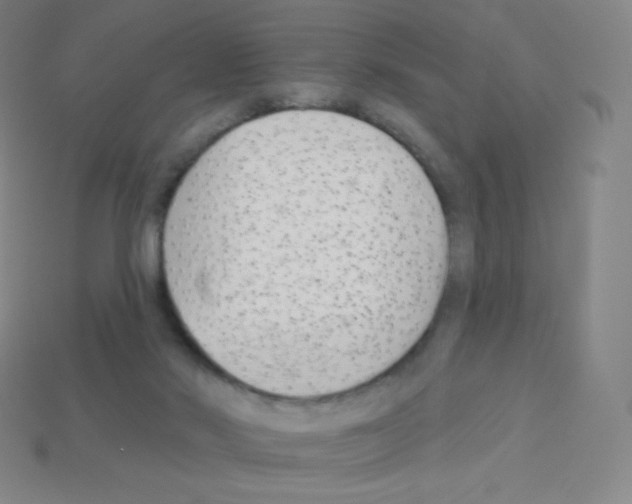 X0000113100022200910091148