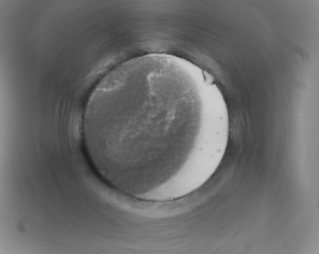 X0000113100023200910091148