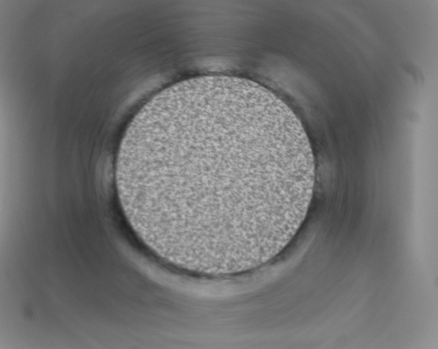 X0000113100024200910091148