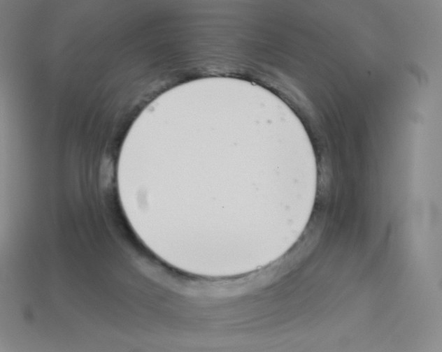 X0000113100025200910091148