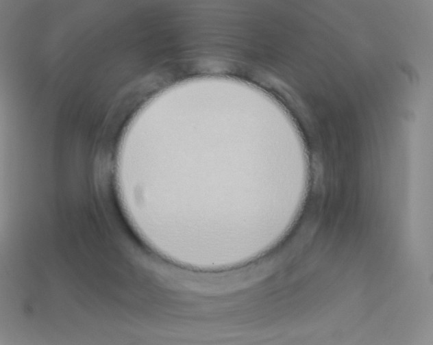 X0000113100026200910091148