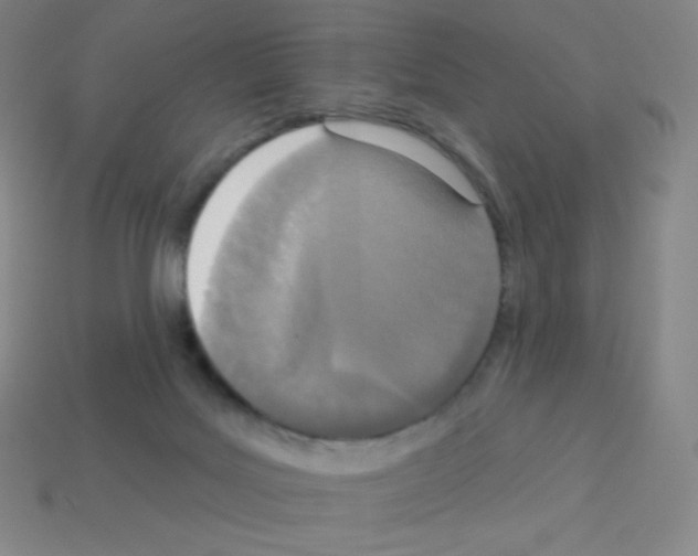 X0000113100027200910091148