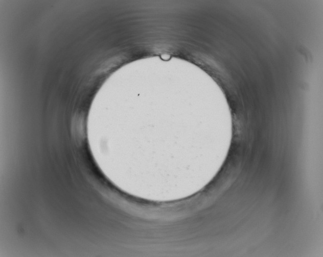 X0000113100028200910091148