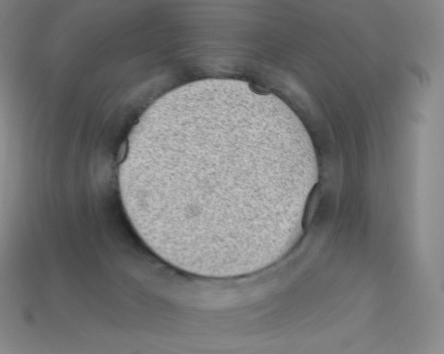 X0000113100029200910091148