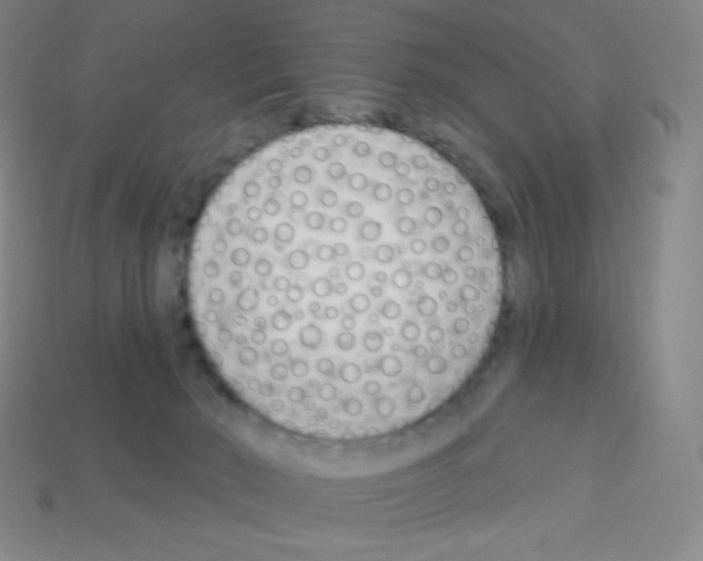 X0000113100030200910091148
