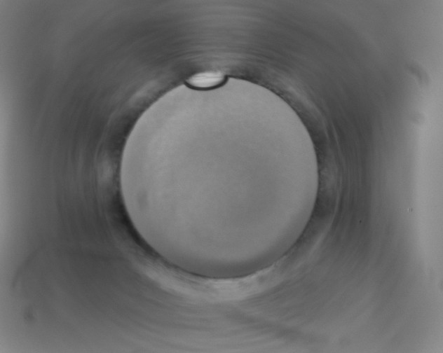 X0000113100031200910091148