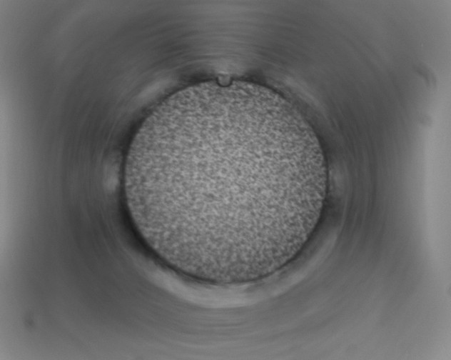 X0000113100032200910091148