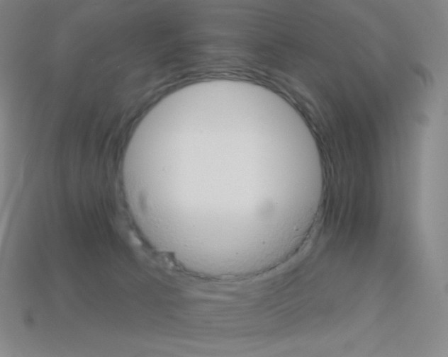X0000113100033200910091148