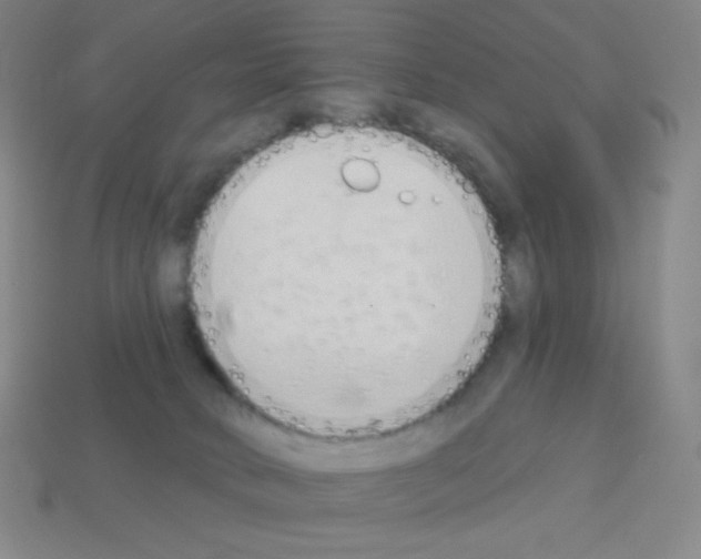 X0000113100034200910091148