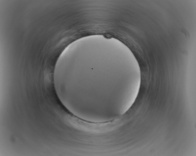 X0000113100035200910091148