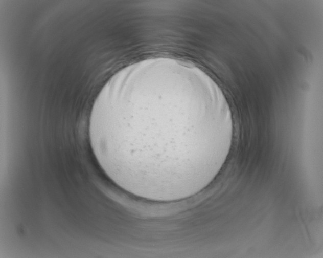 X0000113100036200910091148