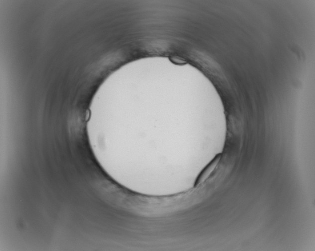 X0000113100037200910091148