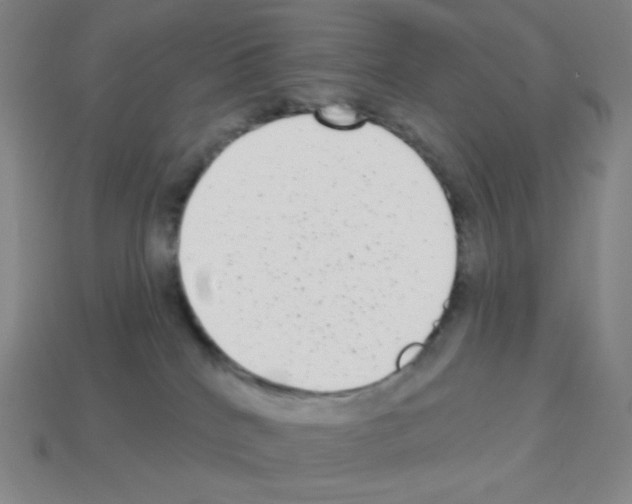 X0000113100040200910091148