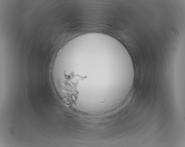 X0000113100041200910091148