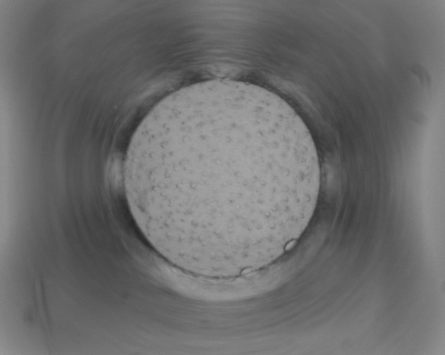 X0000113100042200910091148
