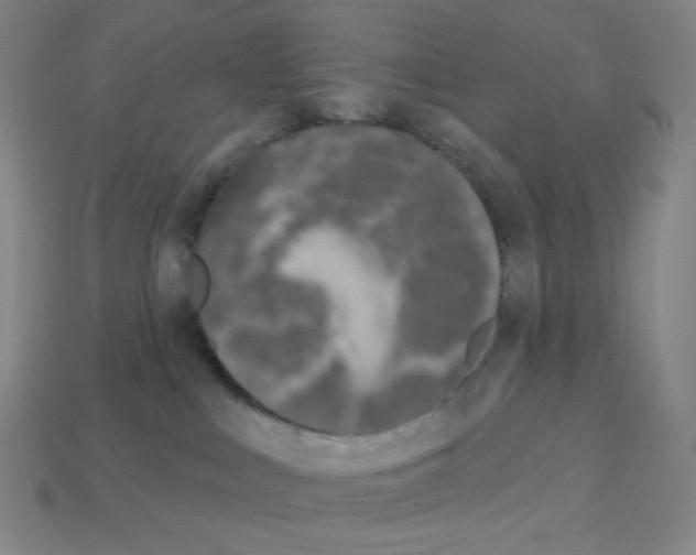 X0000113100043200910091148