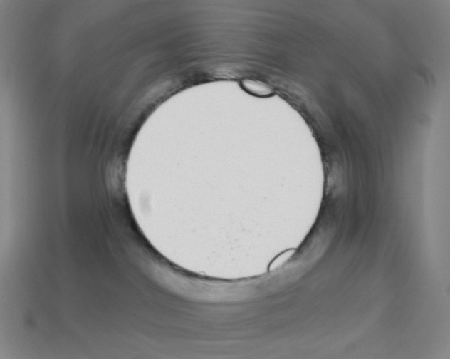 X0000113100044200910091148