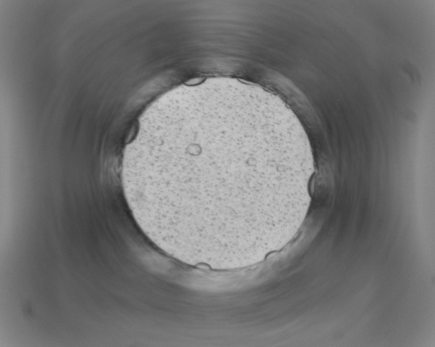 X0000113100045200910091148