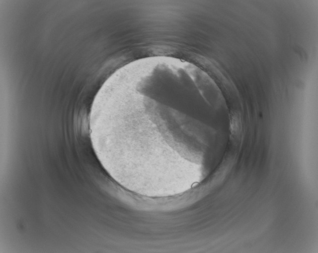 X0000113100046200910091148