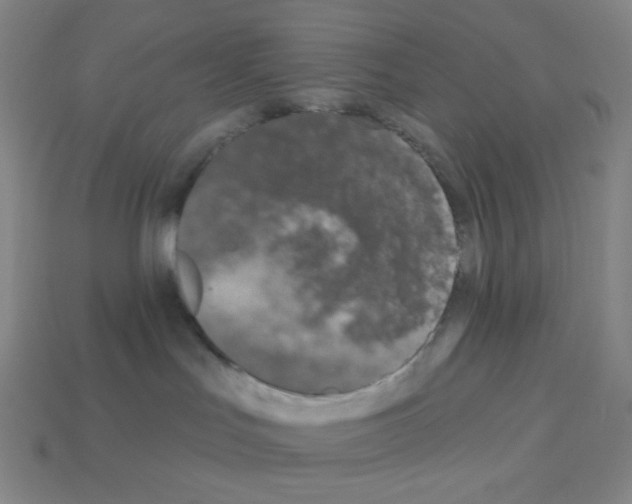 X0000113100047200910091148