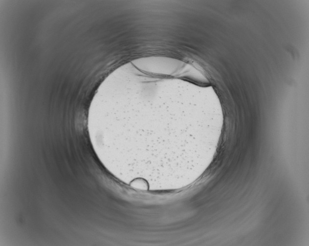 X0000113100048200910091148