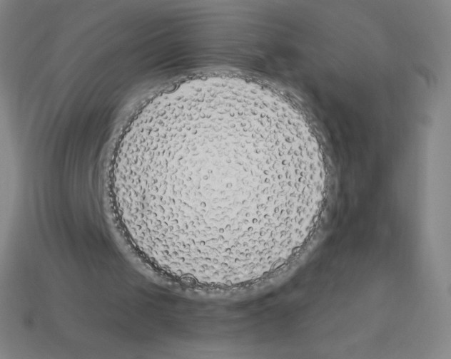 X0000113100049200910091147