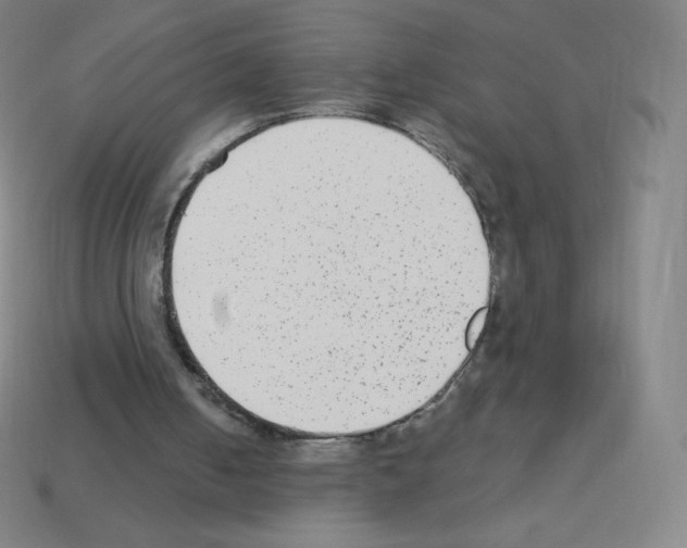 X0000113100050200910091147
