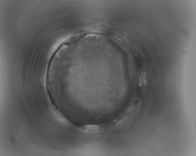 X0000113100052200910091147