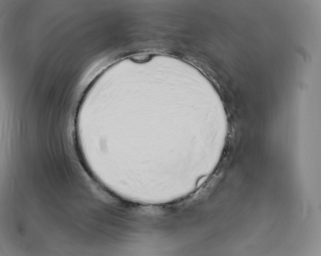 X0000113100053200910091147
